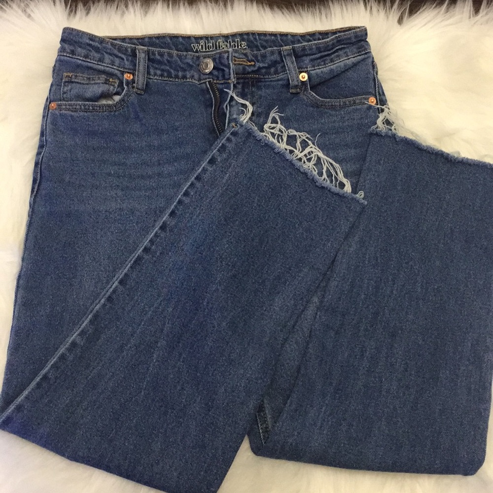 Wild fable jeans